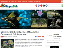 Tablet Screenshot of livetropicalfish.net